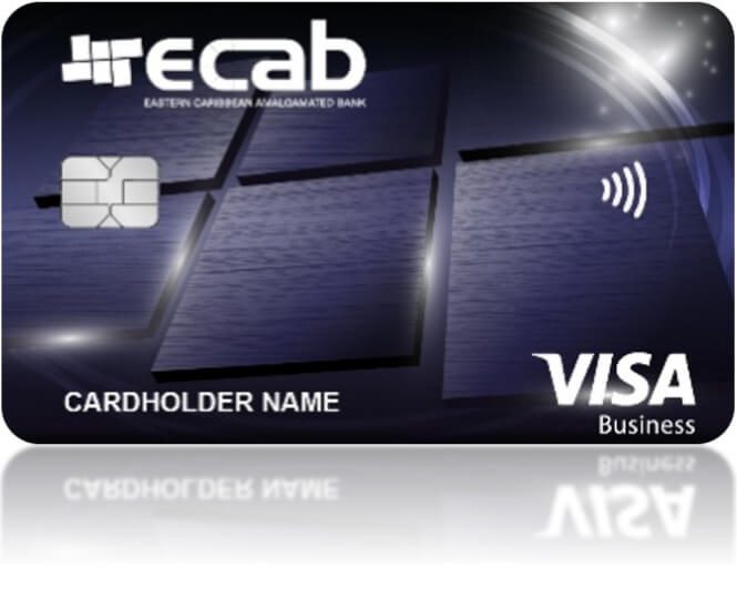 Visa Business Credit Card