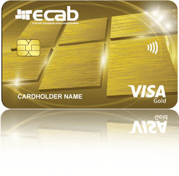 Visa Rewards Gold